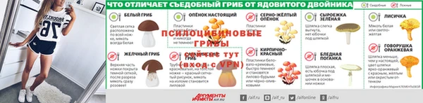 крисы Кукмор