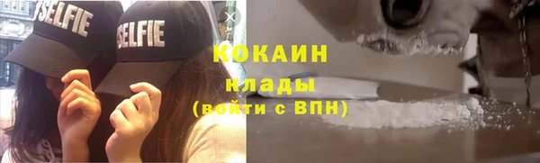 крисы Кукмор