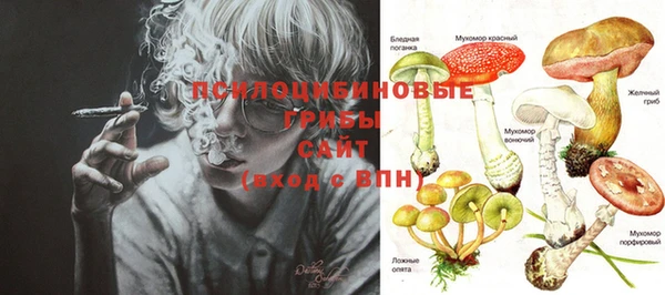 крисы Кукмор