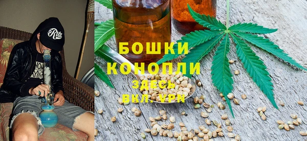 крисы Кукмор