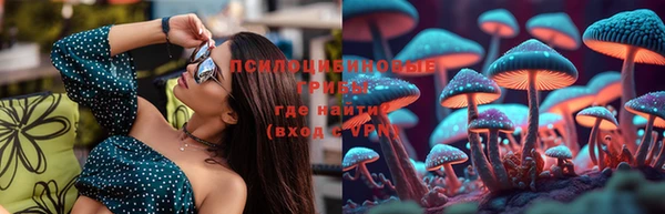 крисы Кукмор