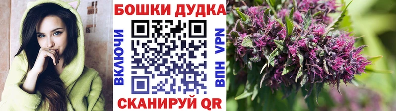 цена наркотик  Шлиссельбург  Марихуана SATIVA & INDICA 